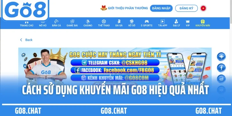 Cách sử dụng khuyến mãi GO8 hiệu quả nhất