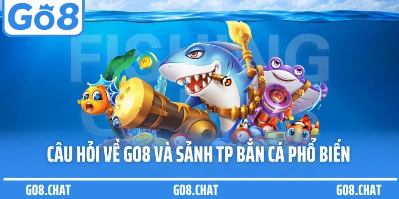Câu hỏi về GO8 và sảnh TP bắn cá phổ biến