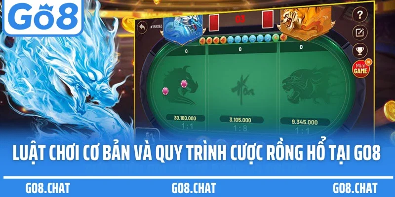 Luật chơi cơ bản và quy trình cược rồng hổ tại GO8